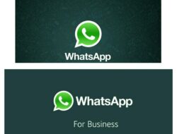 Perbedaan Fungsi WhatsApp Business dan WhatsApp Messenger, Selengkapnya