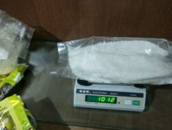 Bawa Sabu 6 Kg, Amrin Diciduk Petugas Avsec Bandara Hang Nadim dan BC Batam