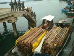 Lantamal IV Tangkap 2 Kapal Bermuatan Tonan Kayu Ilegal di Sagulung Batam