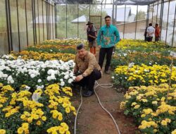 Pembangunan Green House di Payo Terkesan Boros APBD