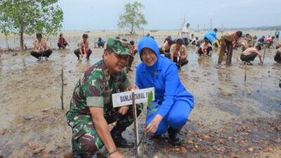 Usai Glagaspur L-3, Danlantamal IV Tanam Mangrove di Dabo Singkep