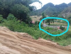 Tebing di Jalan Lingkar Laing Pasir Taluk Terancam Longsor, Ada SDN 17 Dibawahnya