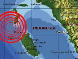 Mentawai Diguncang Gempa Hingga 52 Kali, BMKG: 6 Diantaranya Diatas 5 SR