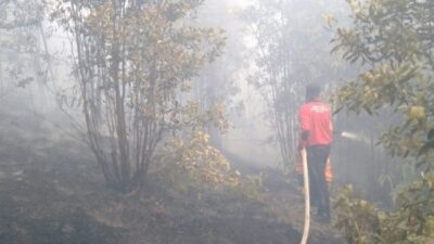 Polsek Sekupang Bantu Padamkan Kebakaran di Hutan Ponjen Tanjung Riau