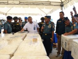 Ratusan Ribu Ekor Baby Lobster Selundupan Digagalkan TNI AL, Nilainya 37,2 Miliar