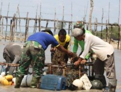 Rengkam, Urat Nadi Ekonomi Nelayan Pasir Panjang