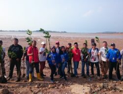 GI Desak BP Batam Segera Cabut Izin Ekspor Arang Bakau Milik Ahui