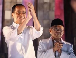TKN: Jokowi akan Tambah Kawasan Ekonomi Khusus Batam