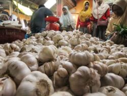RI Masih Impor Bawang Putih, Mentan Target Swasembada 2021
