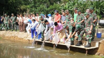 Serbuan Teritorial, Lantamal IV Tanam 13 Ribu Bibit Mangrove dan Tebar 50 Ribu Bibit Lele