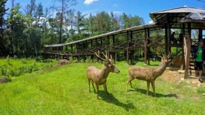 4 Alasan Merencanakan Liburan ke ‘Kota Hujan’ dengan Segala Daya Tariknya