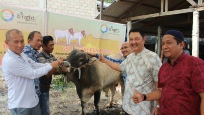 Sambut Idul Adha, PLN Batam Salurkan 50 Ekor Hewan Kurban