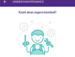 Aplikasi OVO Error Hari Ini, Warganet Ribut