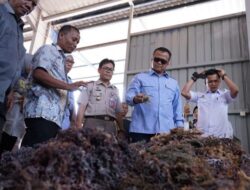Virus Corona Tak Hambat Ekspor Rumput Laut dari Batam ke China