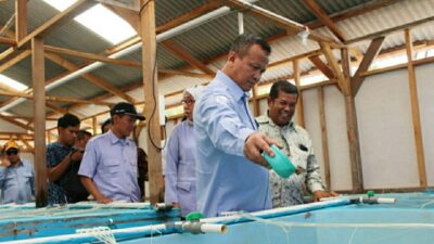 Menteri KKP Kunjungi Pokdakan Mitra Laut di Barelang Batam