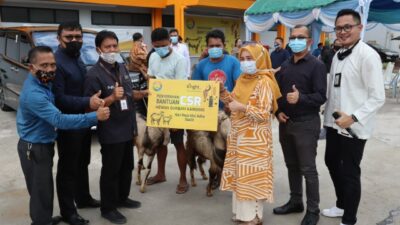 Sambut Idul Adha, PLN Batam Bagikan 64 Hewan Qurban Untuk Warga