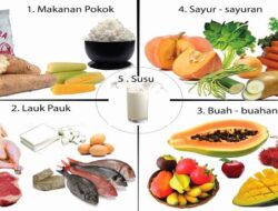 Dinkes Solok Gelar Monitoring dan Evaluasi Surveilans Gizi