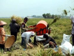 Dinkes Solok Gelar KIE Keamanan Pangan