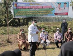 Wali Kota Solok Tanam Padi Anak Daro Bersertifikat IG