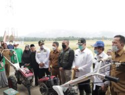 Wako Solok dan Wagub Sumbar Panen Raya  Padi dan Serahkan Bantuan Traktor ke Poktan