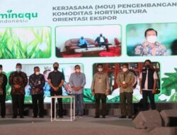 Wako Solok Teken MoU Pengembangan Komoditas Hortikultura Orientasi Ekspor 