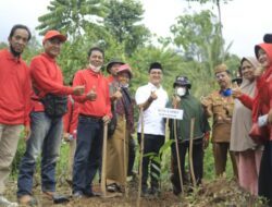 Leo Murphy Harap Pemko Solok Lebih Terbuka Soal Harga Manggis