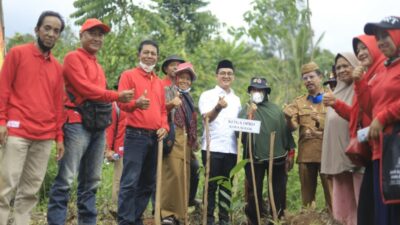 Leo Murphy Harap Pemko Solok Lebih Terbuka Soal Harga Manggis