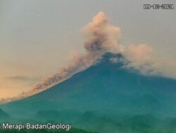 Gunung Merapi Semburkan Awan Panas Sejauh 2 Ribu Meter, Status Level III