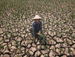 Cak Imin Ingatkan Kementan Soal Perubahan Iklim yang Ancam Ketahanan Pangan