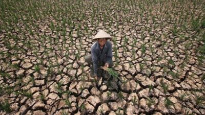 Cak Imin Ingatkan Kementan Soal Perubahan Iklim yang Ancam Ketahanan Pangan