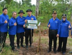 Batam Ditanami 12 Ribu Pohon Jati Emas, Ini Lokasinya