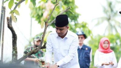 Warga Tanam Cabai