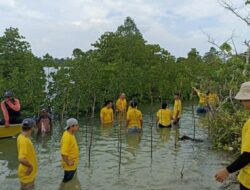 BWP Panbil Peduli Lingkungan Tanam 100 Bibit Bakau di Pulau Sembur