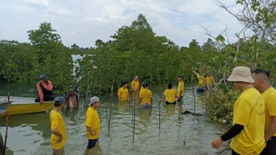 BWP Panbil Peduli Lingkungan Tanam 100 Bibit Bakau di Pulau Sembur
