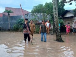 Tanah Garam Solok Dilanda Banjir, Ramadhani Tinjau Lokasi Terdampak