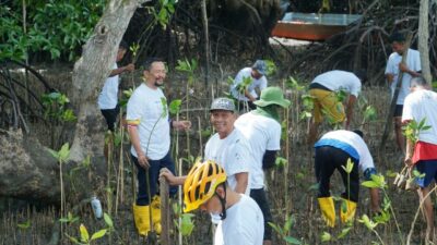 Hari Lingkungan Hidup, PLN Batam Tanam Bibit Mangrove di Desa Wisata Kampung Terih