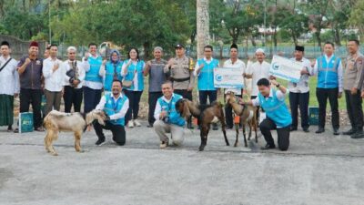 Lebaran Idul Adha, PLN Batam Sumbangkan 78 Hewan Kurban