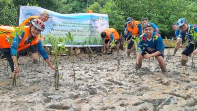 Lestarikan Lingkungan, PLN Batam Tanam 1.000 Pohon Mangrove di Pantai Nongsa
