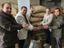 39,6 Ton Kopi Robusta Indonesia Dikirim ke Mesir