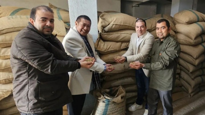 Kopi Robusta