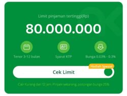Daftar Pinjol 2025 Terdaftar Resmi di OJK per Januari, Totalnya 97