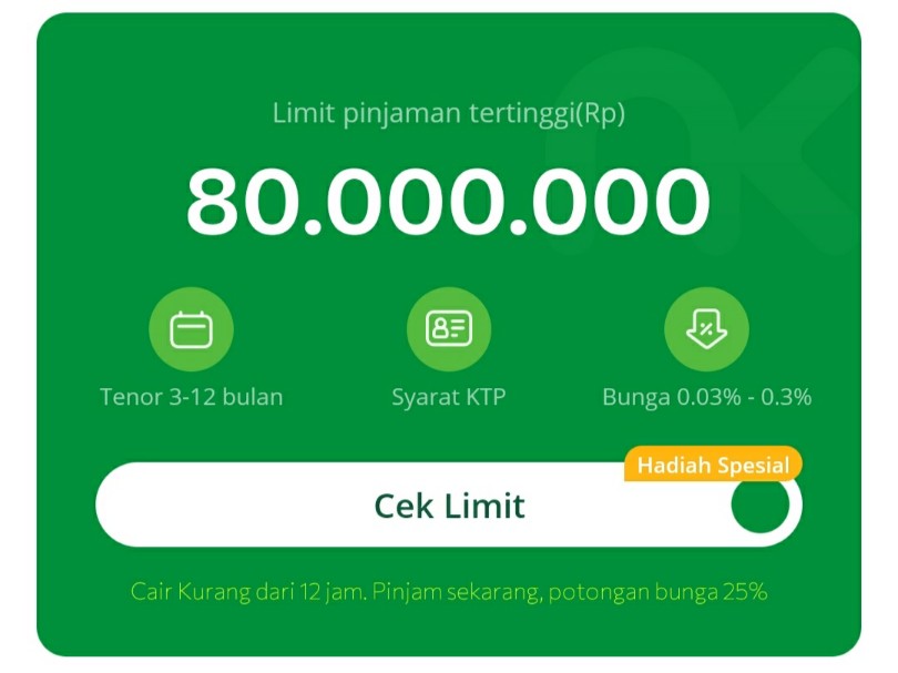 Daftar Pinjol 2025