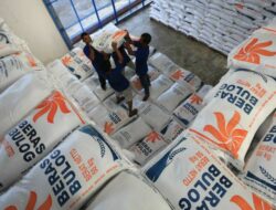 Stok Beras Diproyeksi Tembus 3 Juta Ton Akhir April, Tertinggi dalam 1 Dekade