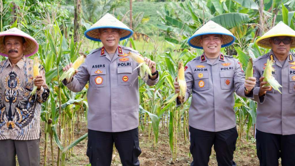Kepri Panen Jagung