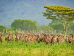 7 Destinasi Wisata Libur Lebaran yang Cocok Untuk Dikunjungi