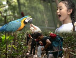Panbil Nature Reserve Batam Buka Promo Libur Sekolah, Tiket Mulai Rp 50.000