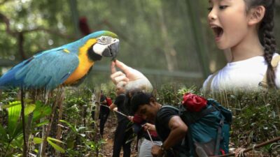 Panbil Nature Reserve Batam Buka Promo Libur Sekolah, Tiket Mulai Rp 50.000