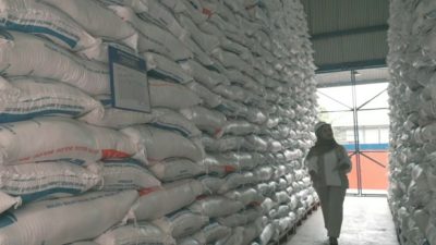 Indonesia Bantu Palestina, Siap Kirim Beras Terbaik 10 Ribu Ton ke Gaza