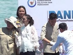 Gibran dan Titiek Panen Lobster di Batam: Dorong Ekonomi Biru dan Cegah Penyelundupan Lobster