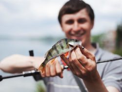 7 Makna Mimpi Menangkap Ikan, Tanda Rezeki hingga Fitnah